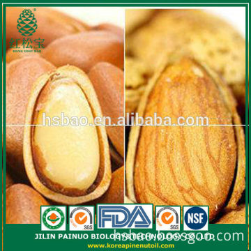 Bulk Opener Dead Sea Salt Open Pine Nuts in Shell